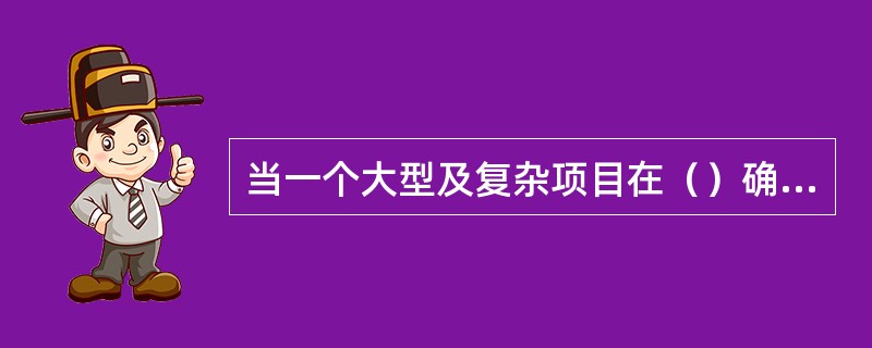 当一个大型及复杂项目在（）确定后，就需要制订项目计划。