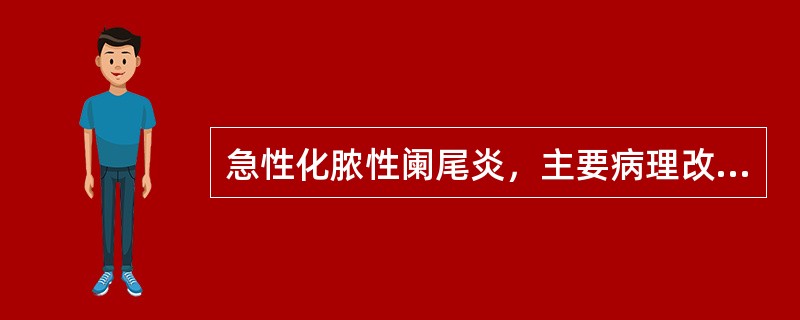 急性化脓性阑尾炎，主要病理改变是指（）