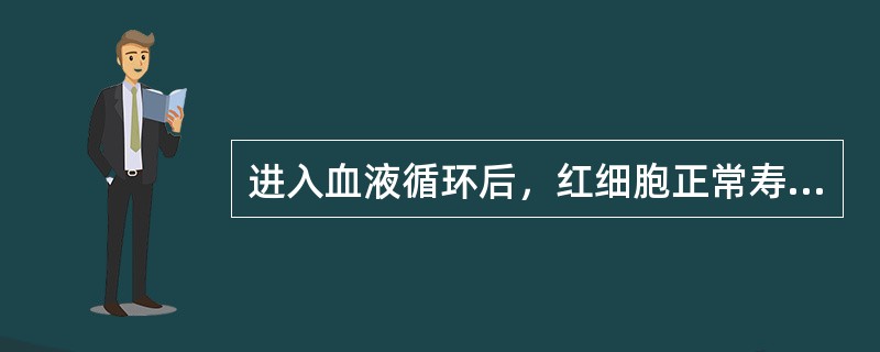 进入血液循环后，红细胞正常寿命为（）。