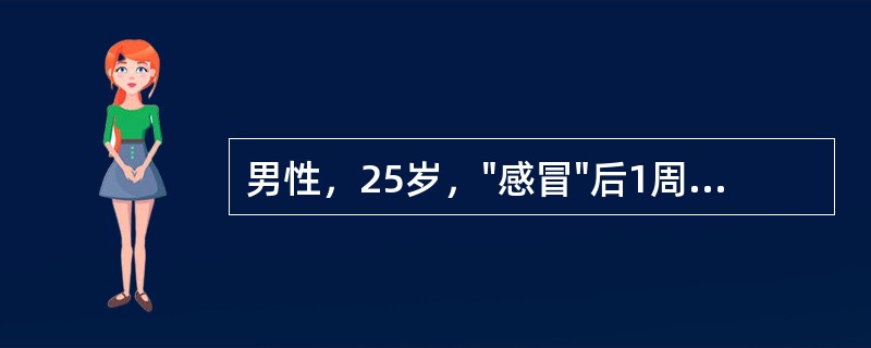 男性，25岁，"感冒"后1周，尿色加深，尿蛋白（+），尿红细胞20～30/HP，