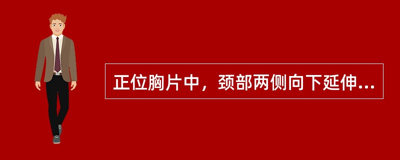 正位胸片中，颈部两侧向下延伸达肺尖内侧的纵行高密度阴影为（）