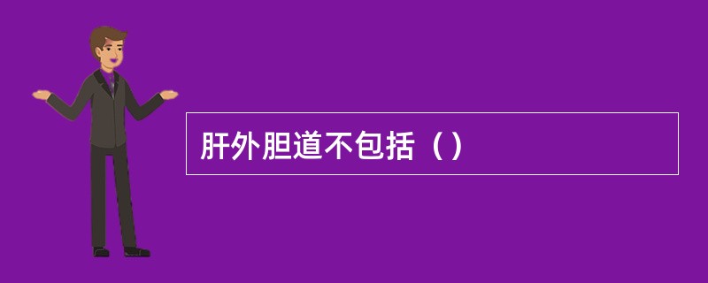肝外胆道不包括（）