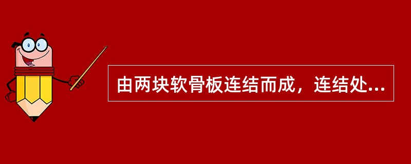 由两块软骨板连结而成，连结处构成约90°角，其上部向前突出为喉结（）