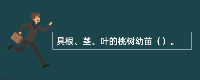 具根、茎、叶的桃树幼苗（）。