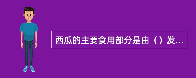 西瓜的主要食用部分是由（）发育而来的。