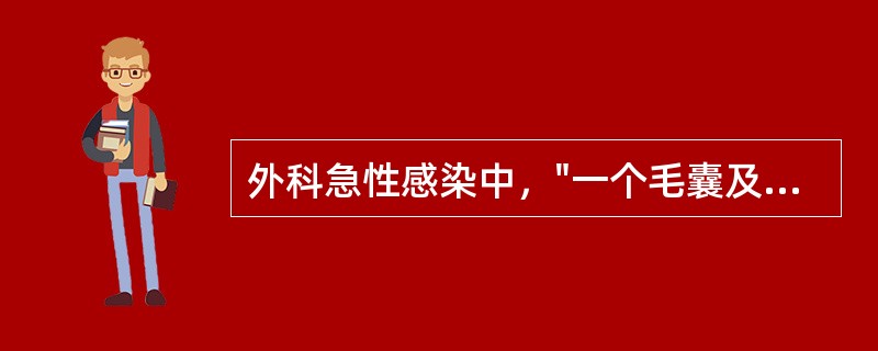 外科急性感染中，"一个毛囊及其所属皮脂腺的急性化脓性感染，常扩展到皮下组织"属于