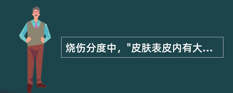 烧伤分度中，"皮肤表皮内有大面积的水疱，一般2周后真皮层即可生出新的表皮，使创面