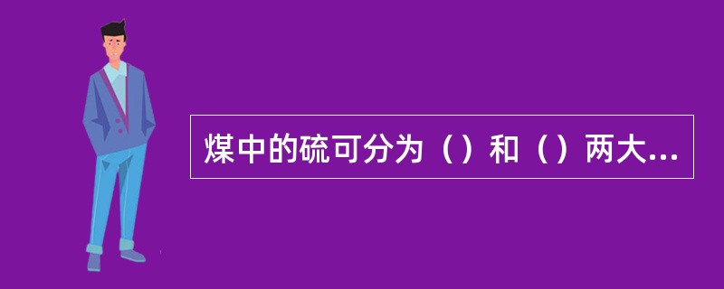 煤中的硫可分为（）和（）两大类。