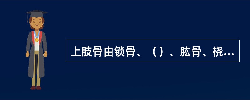 上肢骨由锁骨、（）、肱骨、桡骨、尺骨、手骨组成。