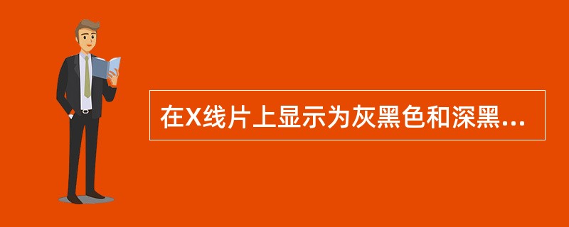 在X线片上显示为灰黑色和深黑色（）