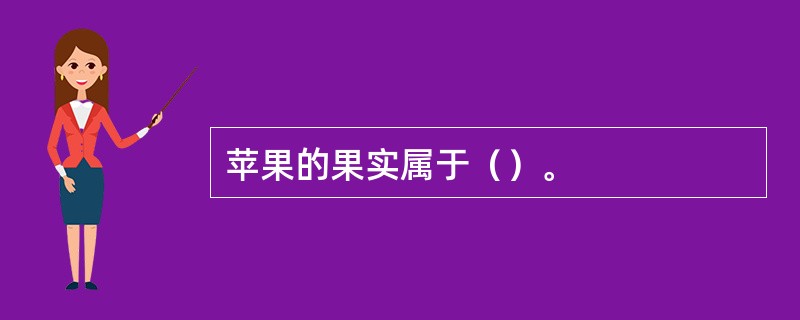 苹果的果实属于（）。