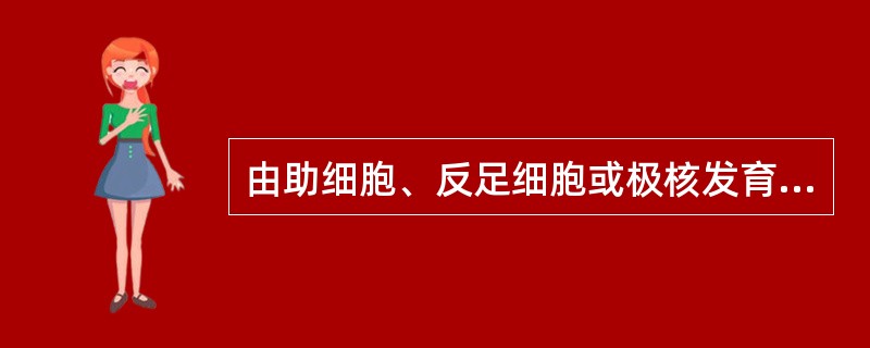 由助细胞、反足细胞或极核发育成胚称（）。