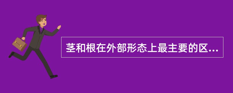 茎和根在外部形态上最主要的区别是：（）、（）、（）、（）。