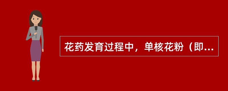 花药发育过程中，单核花粉（即小孢子）形成的过程是（）。