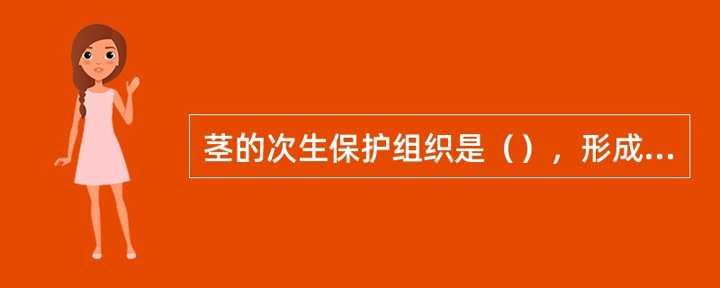 茎的次生保护组织是（），形成层以外的所有部分称为（）。