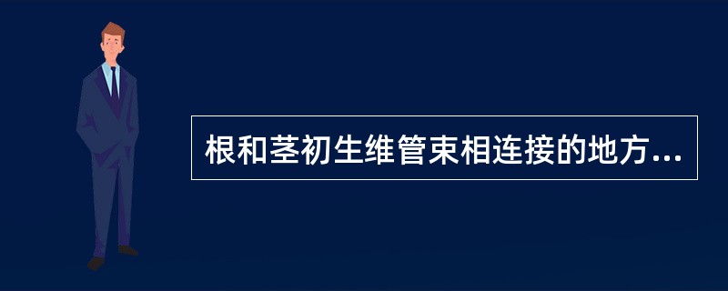 根和茎初生维管束相连接的地方，发生在幼苗的（）处。