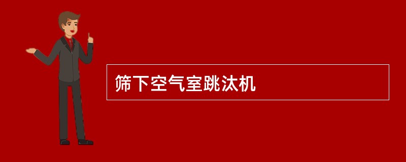 筛下空气室跳汰机