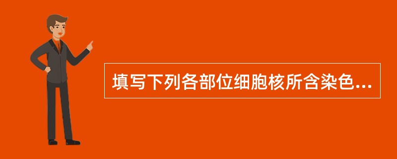 填写下列各部位细胞核所含染色体的倍数是多少：珠心组织（）卵细胞（）单核花粉粒（）