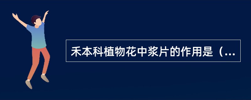 禾本科植物花中浆片的作用是（）。