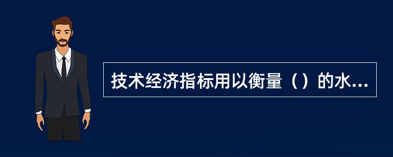 技术经济指标用以衡量（）的水平。