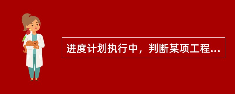 进度计划执行中，判断某项工程进度偏差对后续工作、总工期的影响程度，不属于重点分析