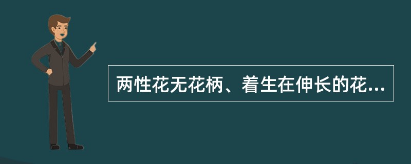 两性花无花柄、着生在伸长的花轴上称（）