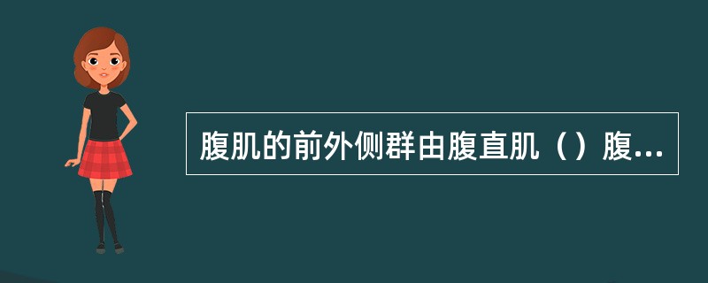 腹肌的前外侧群由腹直肌（）腹内斜肌和腹横肌组成。