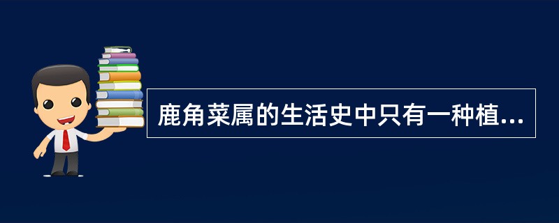 鹿角菜属的生活史中只有一种植物体，其染色体为（），减数分裂在（）时进行。