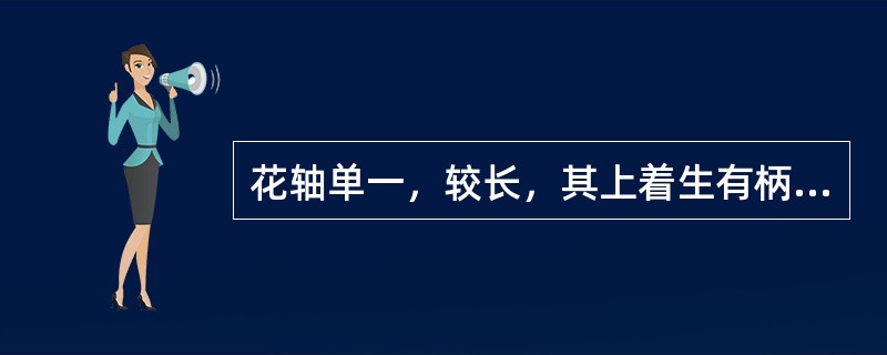 花轴单一，较长，其上着生有柄的花朵，各花的花柄长度大致相等，开花顺序自下而上，这