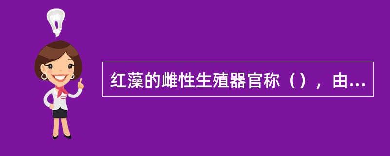 红藻的雌性生殖器官称（），由（）和（）二部分构成。