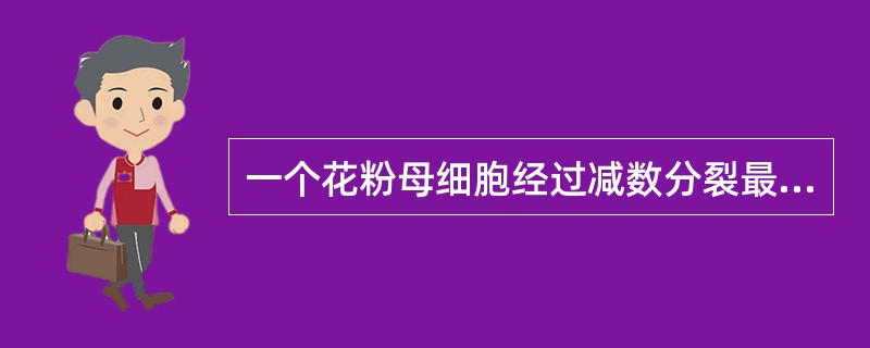 一个花粉母细胞经过减数分裂最后发育成（）