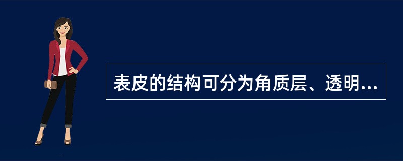 表皮的结构可分为角质层、透明层、颗粒层、（），基底层。