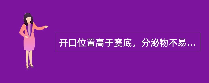 开口位置高于窦底，分泌物不易引流，较易发生慢性炎症的鼻旁窦是（）。