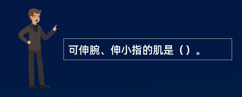 可伸腕、伸小指的肌是（）。