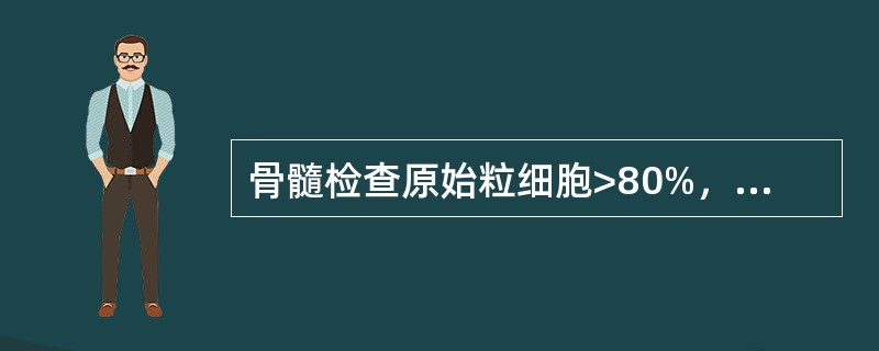 骨髓检查原始粒细胞>80%，早幼粒细胞12%，中幼粒细胞3%，诊断（）