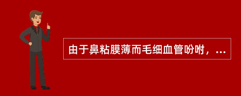 由于鼻粘膜薄而毛细血管吩咐，鼻出血最易发生于（）。
