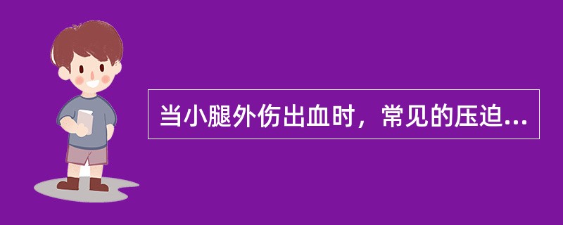 当小腿外伤出血时，常见的压迫止血部位是（）。