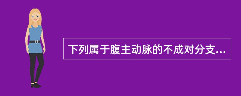 下列属于腹主动脉的不成对分支的是（）。