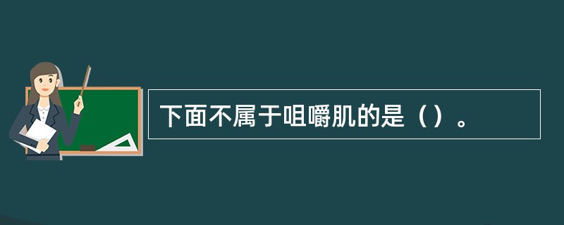 下面不属于咀嚼肌的是（）。