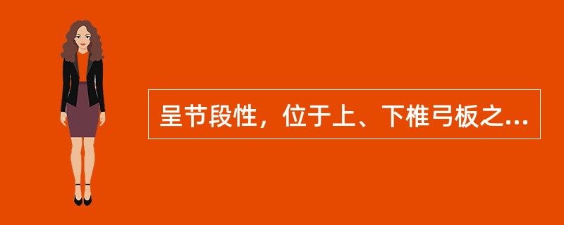 呈节段性，位于上、下椎弓板之间的脊柱韧带是（）。