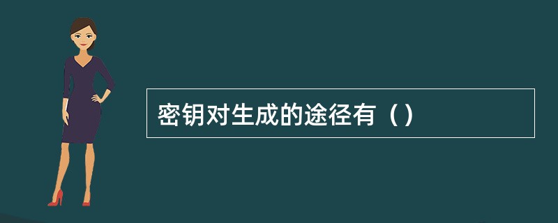 密钥对生成的途径有（）
