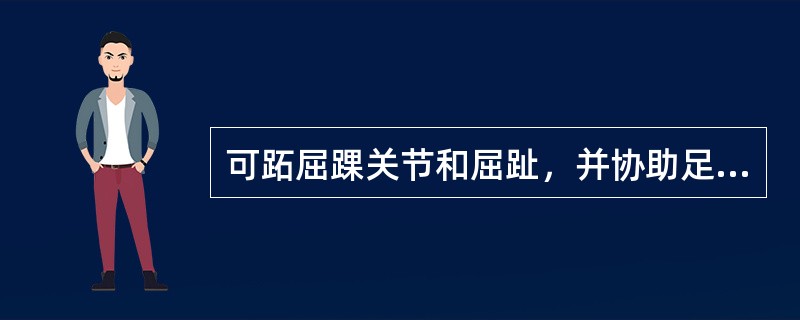 可跖屈踝关节和屈趾，并协助足内翻的肌是（）。