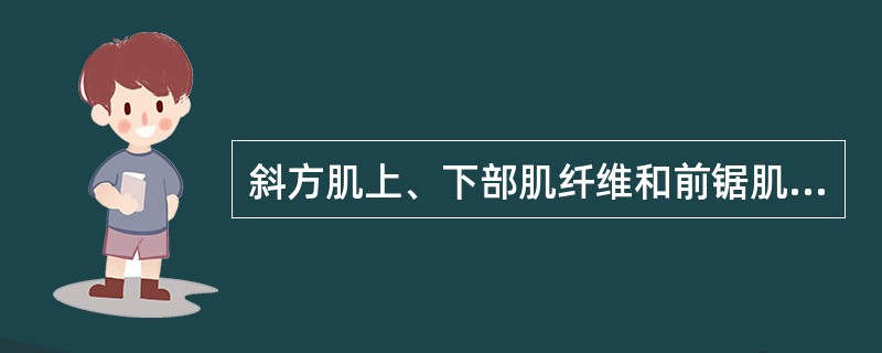 斜方肌上、下部肌纤维和前锯肌下部肌纤维可以使肩胛骨（）斜方肌上部和胸锁乳突肌可以