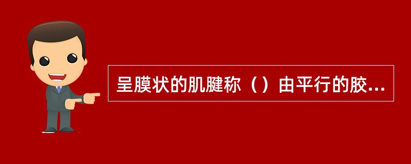 呈膜状的肌腱称（）由平行的胶原纤维束构成的索条状结构是（）由横纹肌纤维组成的肌束