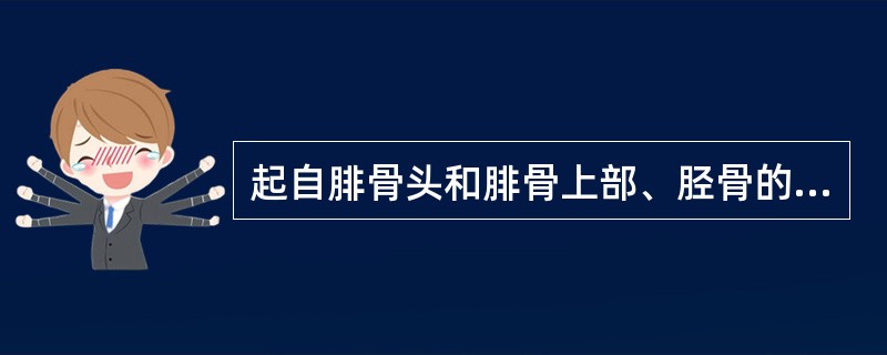 起自腓骨头和腓骨上部、胫骨的内侧缘和比目鱼肌线，止于跟结节的肌是（）。