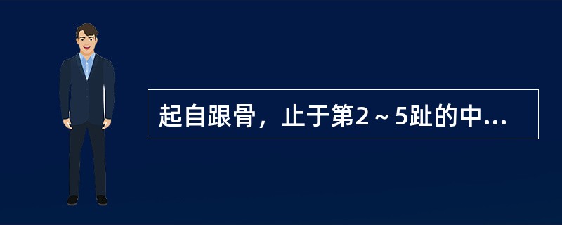 起自跟骨，止于第2～5趾的中节趾骨底的肌是（）。
