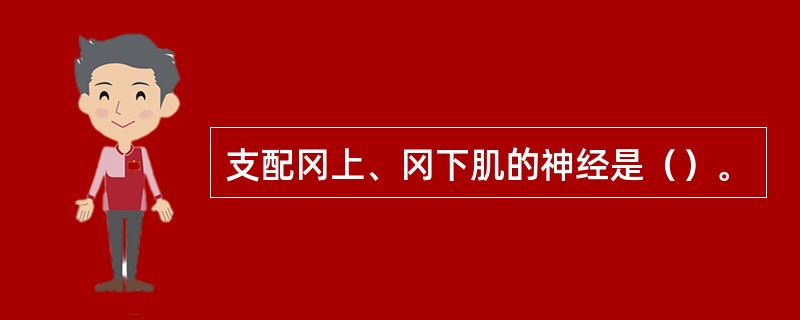 支配冈上、冈下肌的神经是（）。