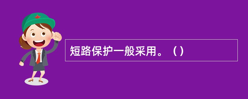 短路保护一般采用。（）