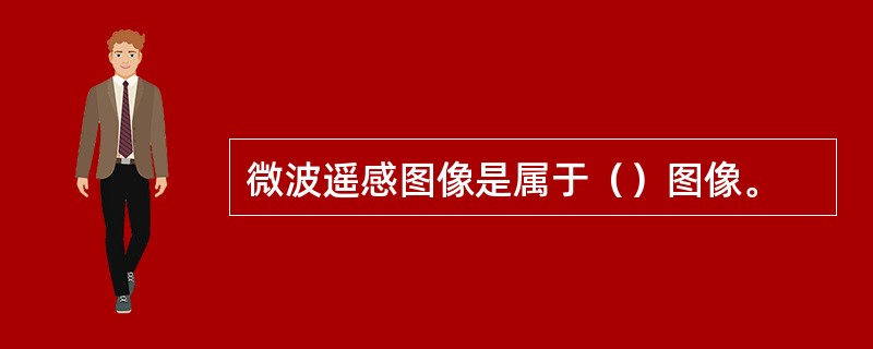 微波遥感图像是属于（）图像。