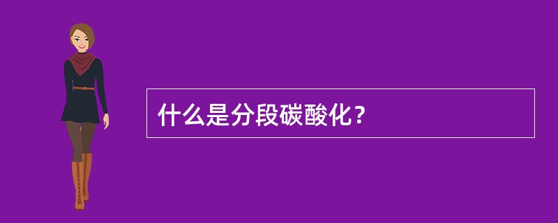 什么是分段碳酸化？